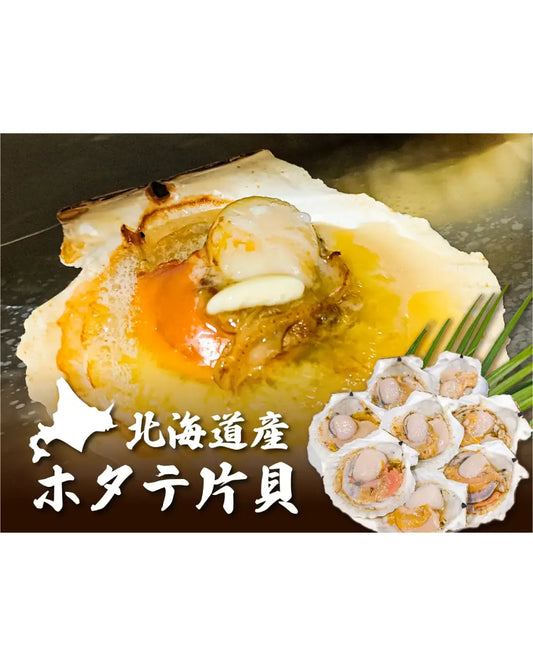 【北海道産】ホタテ片貝（1袋8枚入り）