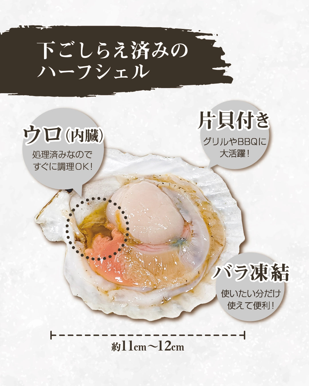 【北海道産】ホタテ片貝（1袋8枚入り）