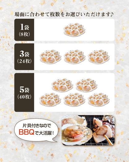 【北海道産】ホタテ片貝（1袋8枚入り）