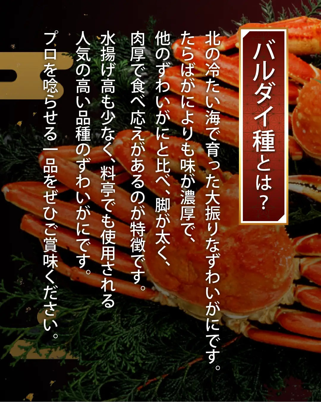 カット済み 生ずわいがに（バルダイ種）1kg